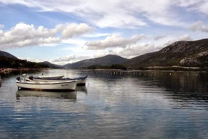 Oysters and mussels tasting with wine in Ston and Pelješac - Key highlights worth your attention