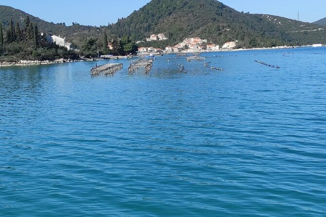 Oysters and mussels tasting with wine in Ston and Pelješac - Dubrovnik to Ston Walls, the smart start before you taste anything