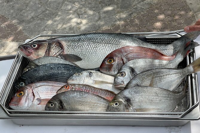 Oysters testing private tour to Ston - Price and value: is $167.07 per person fair for this day?