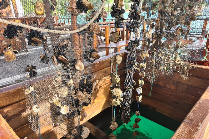 Oysters & Wine Tour From Dubrovnik (Small Group) - Key things to know before you go