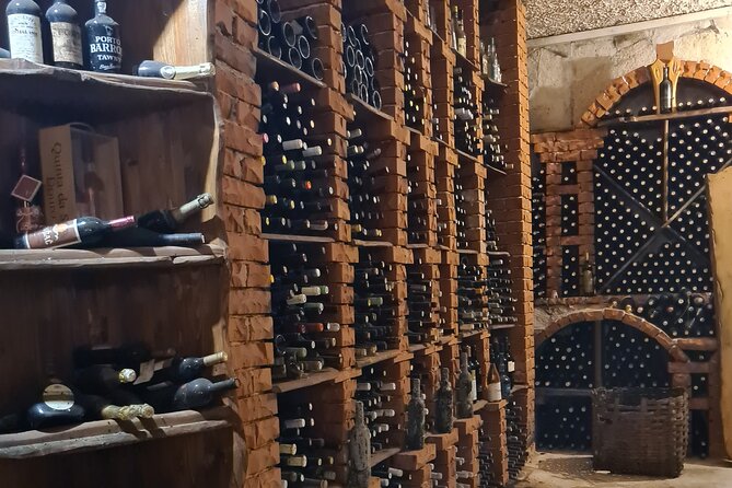 Oysters & Wine Tour From Dubrovnik (Small Group) - Should you book this oysters and wine tour from Dubrovnik?