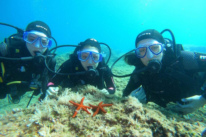 PADI Discover Scuba Diving in Dubrovnik - A beginner-focused SCUBA day in Dubrovnik, without the chaos