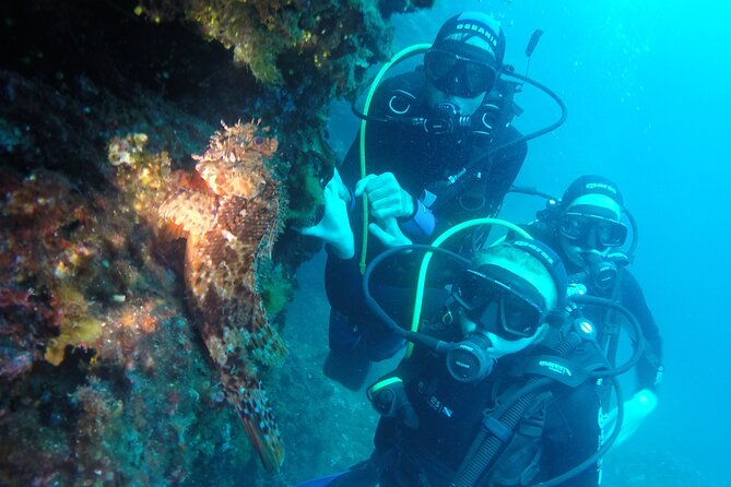 PADI Discover Scuba Diving in Dubrovnik - The first underwater session: max 6 meters, 45 minutes of control