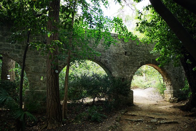 Panorama Dubrovnik & Arboretum Trsteno PRIVATE TOUR - Private guiding in real time, with relaxed time for photos