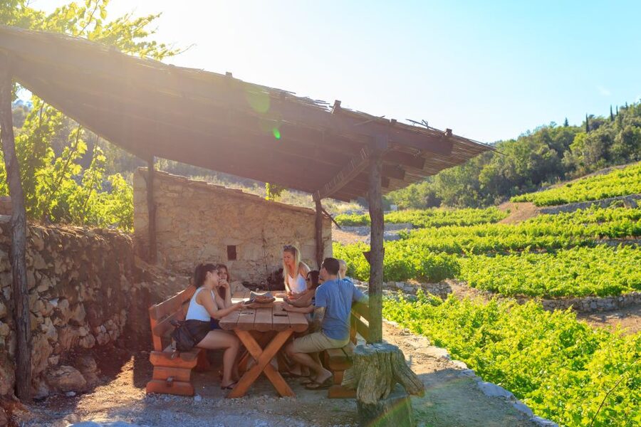 Pelješac Full-Day Wine and Food Tour from Dubrovnik - Key highlights you should circle