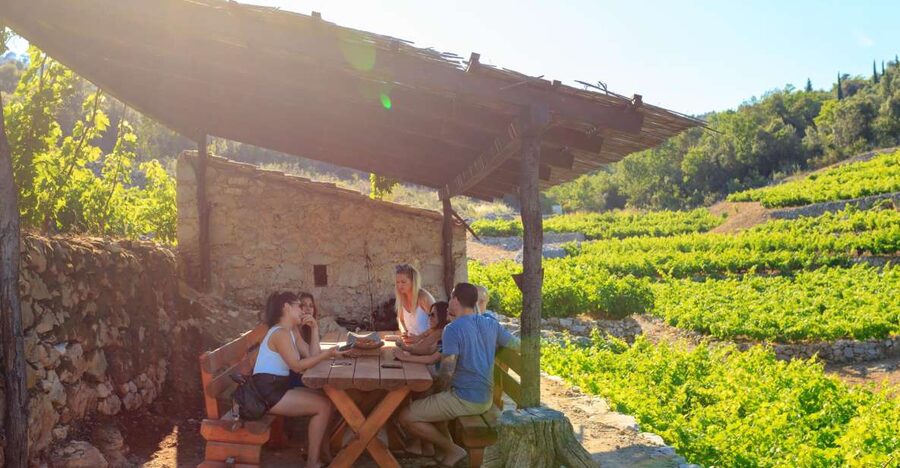 Pelješac Full-Day Wine and Food Tour from Dubrovnik - Pelješac, the easy day trip with big food payoff