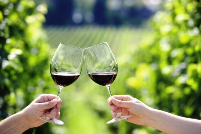 Peljesac Peninsula Day Trip from Dubrovnik: Wine Tasting and Ston Village Tour - Key things I found most useful