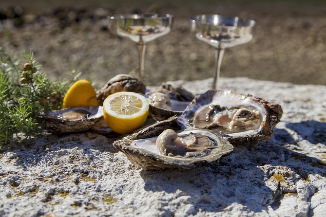 Peljesac Peninsula Wine Tasting Luxury Tour from Dubrovnik - Price and value for up to 7 people from Dubrovnik