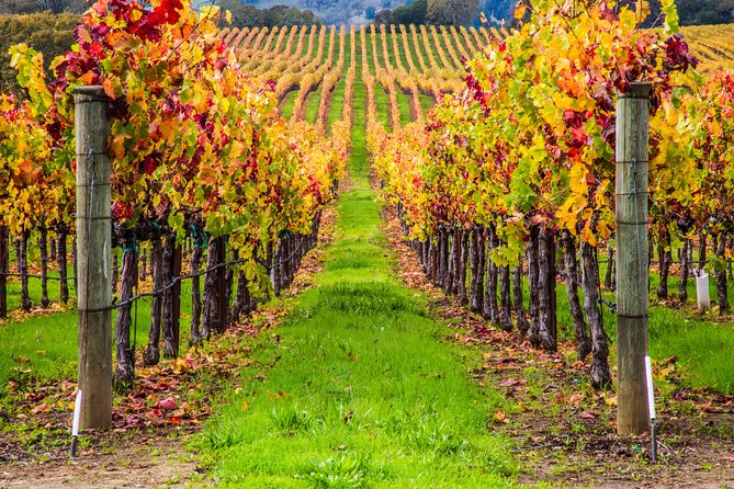 Peljesac Peninsula Wine Tasting Luxury Tour from Dubrovnik - What to bring for an 8 to 9 hour coast day