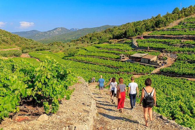 Peljesac&Ston Small-Group Food & Wine Experience from Dubrovnik - Key things that make this day work