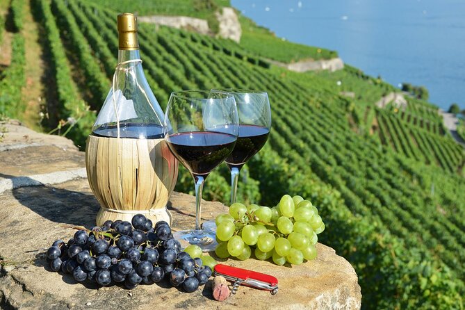 Peljesac Vineyards & Oysters - Private Day Trip from Dubrovnik-Mercedes Vehicle - Key things that make this Peljesac and oysters day work