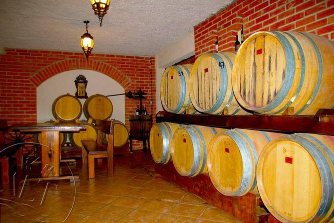 Peljesac Vineyards & Oysters - Private Day Trip from Dubrovnik-Mercedes Vehicle - Dubrovnik to Peljesac without the hassle