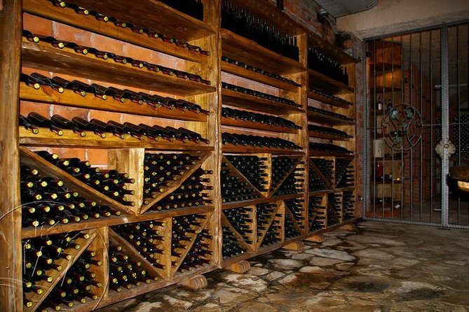 Peljesac Vineyards & Oysters - Private Day Trip from Dubrovnik-Mercedes Vehicle - Who this private Peljesac and oysters day suits best