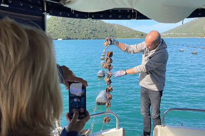 Pelješac - Wine, Oysters and Food Experience from Dubrovnik - Key highlights you should care about