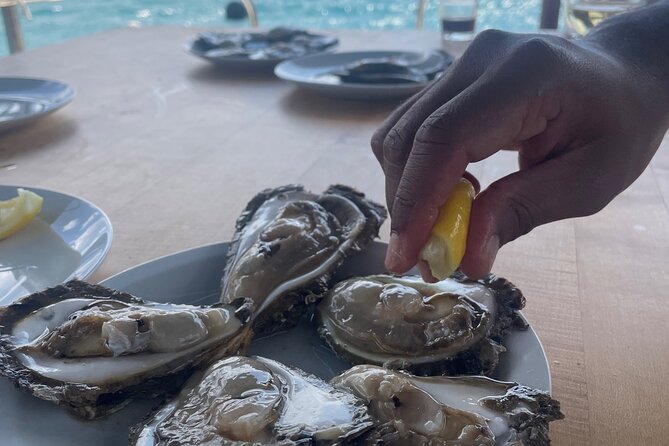 Pelješac - Wine, Oysters and Food Experience from Dubrovnik - The 10:00 pickup, small-group flow, and what 6 hours really feels like