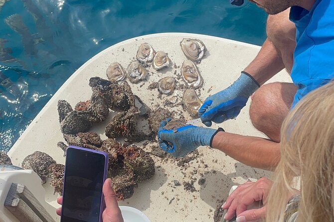 Pelješac - Wine, Oysters and Food Experience from Dubrovnik - Ston salt factory stop: quick, useful, and good for photos