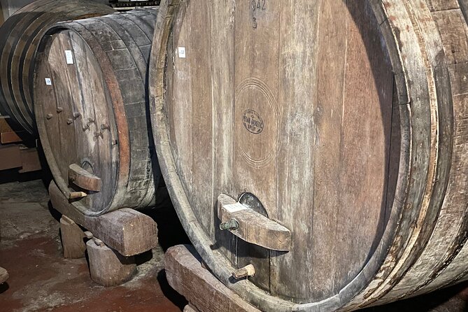 Pelješac - Wine, Oysters and Food Experience from Dubrovnik - Winery stop two: cellars, guided tastings, and the best window for questions