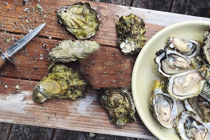 Peljesac Wine & Ston Oysters PRIVATE HALF DAY SHORE TOUR - Getting from Dubrovnik without turning it into a parking-lot day