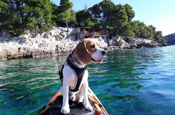 'Pomalo' Guided Sea Kayaking Tour in Cavtat - The Two Coves and the Calmer Water Zones