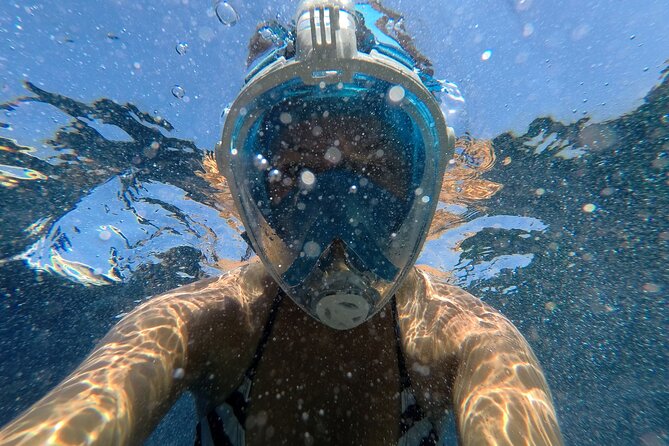 Private Boat Tours Dubrovnik Beach stops and Blue Cave tour - The Kolocep swim stop and the beach bar break