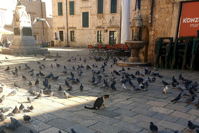 Private Early Morning Dubrovnik Tour - Stradun and Onofrio’s fountains: the main spine, minus the chaos