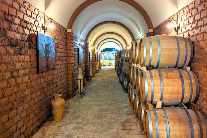 Private Full Day Peljesac Wine Tasting Tour from Dubrovnik - Peljesac Peninsula winery visits: three tastings, different flavors