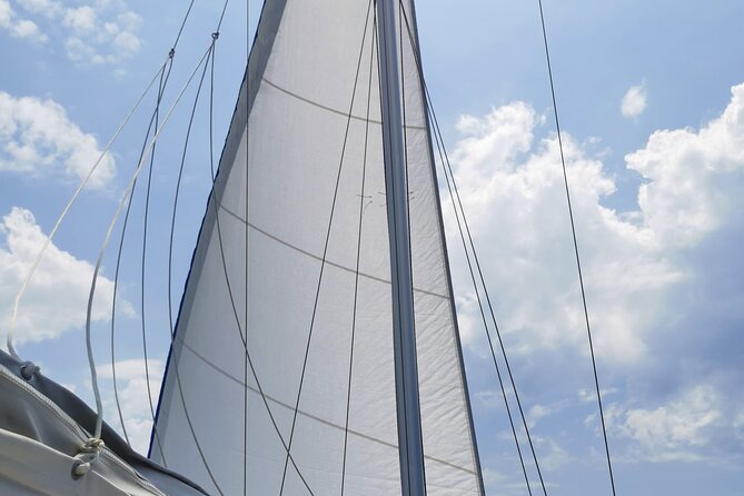 Private Full Day Sailing Tour To Elafiti Islands - Šunj Beach at Lopud: sandy shoreline from the boat