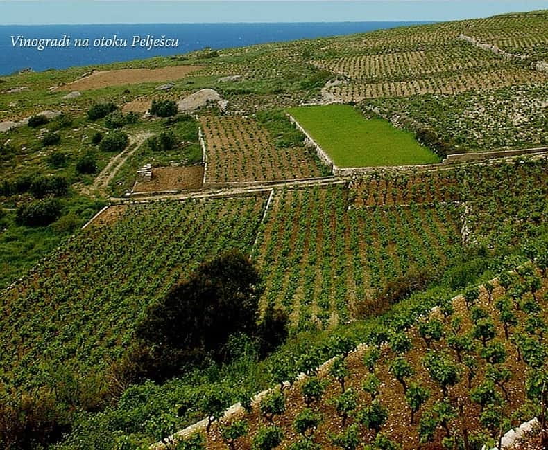 Private Full-Day Wine Tour from Dubrovnik to Peljesac - Peljesac in One Day: How the 10 Hours Work