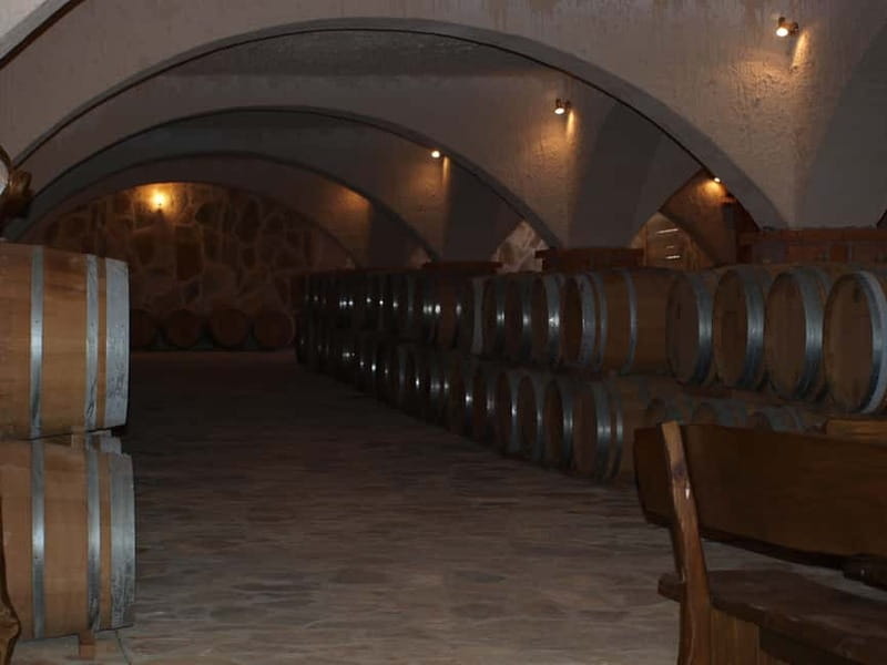 Private Full-Day Wine Tour from Dubrovnik to Peljesac - The Three Family-Owned Wineries and the Private Master Class