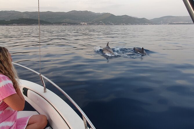 Private Local Guided Speedboat Tour in Dubrovnik Archipelago - Sunj Beach on Lopud: sand, swim time, and easy photo ops
