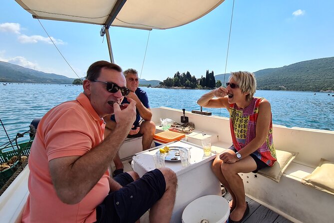 Private Oyster and Wine Tasting Day Trip along Peljesac - How long you are on the road, and what that means for your day