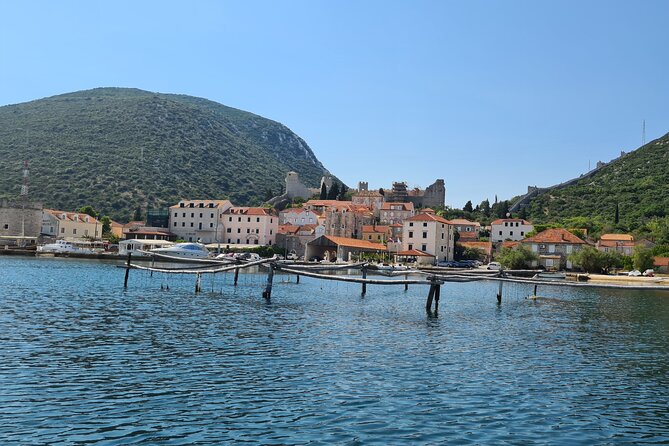 Private Oyster and Wine Tasting Day Trip along Peljesac - Price of $297.85 per person, and where the value actually comes from