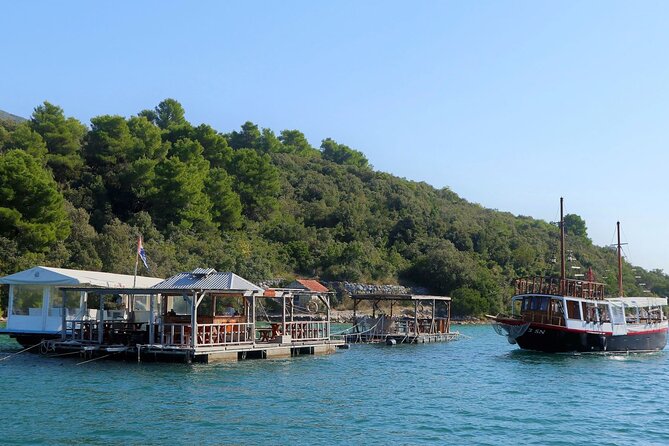 Private Oyster & Wine Tasting in Croatia - Should You Book This Private Oyster and Wine Tasting from Dubrovnik?
