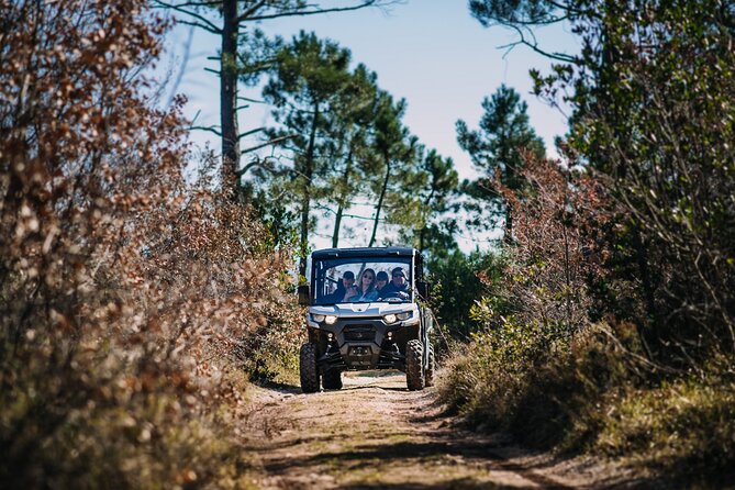 Private Panorama Buggy Tour (Half Day) - Mrčevo and Countryhouse Ano: Olive Oil Production Tasting