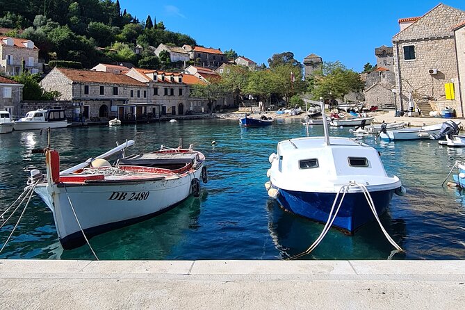 Private Speedboat Tour - What it’s like with a captain and guide who adjust on the fly