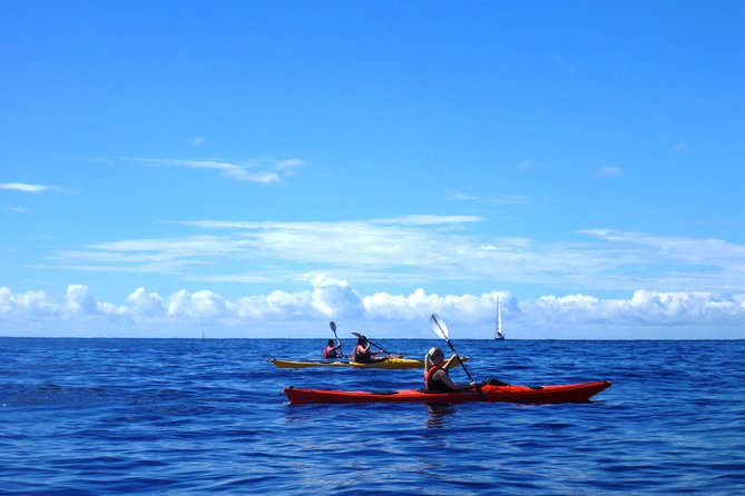 Private tour: Sea Kayaking & Snorkeling to Green Cave on Sipan island from Lopud - Who should book this Sipan and Ruda kayak day