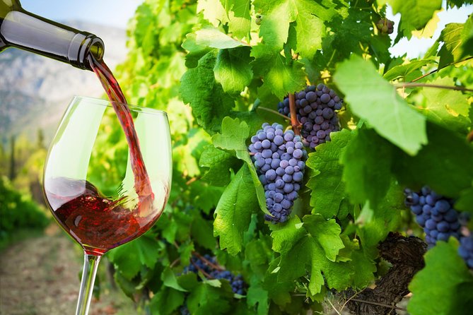 Private Tour: Ston and Peljesac Peninsula Day Trip with Wine Tasting - Key things that make this tour work
