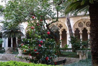 Private Walking Tour of Dubrovnik and its Ancient Walls