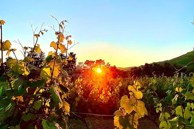 Private Wine Tasting Under The Stars With Sunset Panorama - Sunset panoramas and why 7:00 pm matters