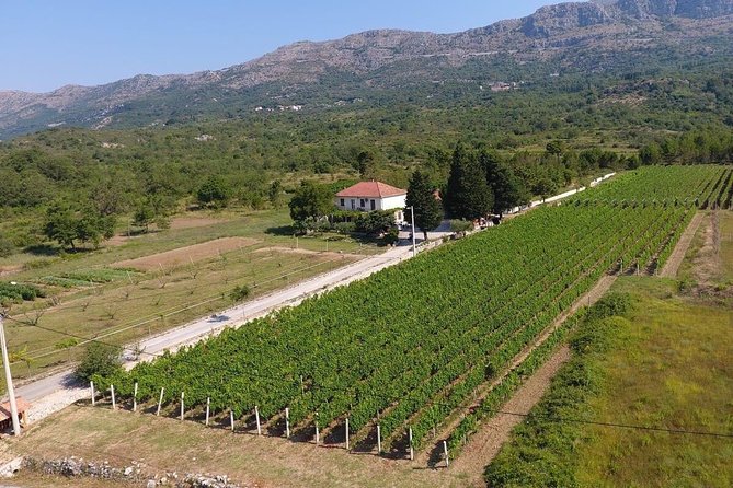 PRIVATE Wine Tour to Konavle country side - Guide stories on the road: Dino and Sam style energy