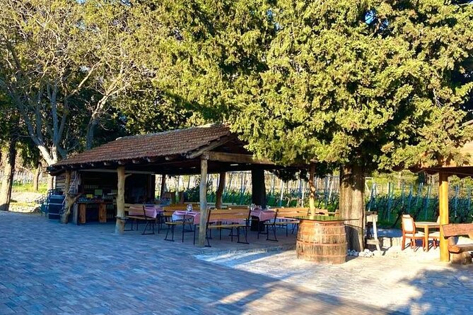 PRIVATE Wine Tour to Konavle country side - Price and value: is $180.62 per person worth it?