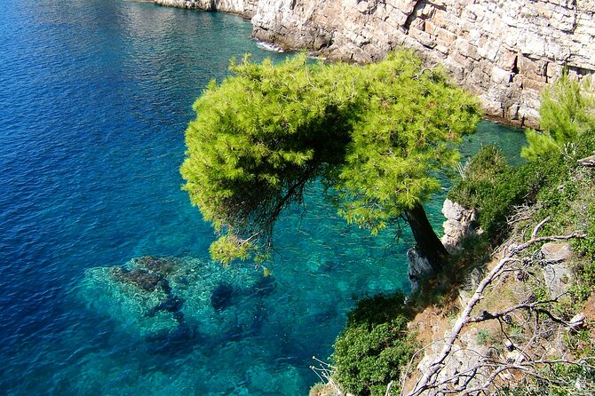 Rent a Boat! (Group Option - Half Day) - Island stops: what you should do at each one