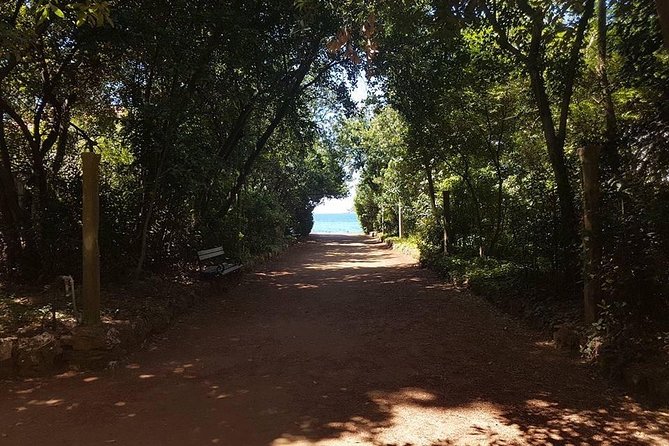 Rent a speed boat and explore beaches and coves of Elaphiti Islands - Captain and guide energy, the thing that makes or breaks a cave day