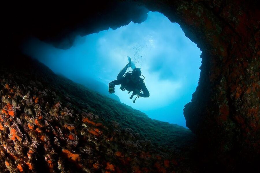 Scuba Diving in Dubrovnik: 1 Dive for Certified Divers - Small group size and multi-language instruction