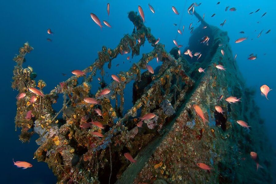 Scuba Diving in Dubrovnik: 1 Dive for Certified Divers - The 2.5-hour plan for certified divers (and what you skip)