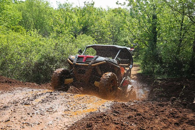 Self-drive Off Road Buggy - Self-Drive Off Road Buggy Dubrovnik: what this is really like