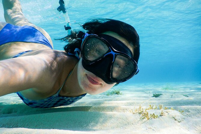 Small group tour by premium yacht to Elaphite Islands - Key highlights at a glance