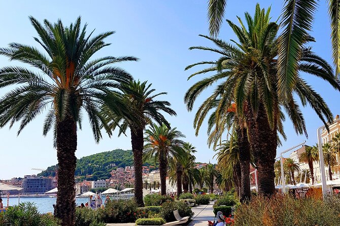 Split and Ston private tour or transfer - Timing and start times: making a 10-hour day feel manageable