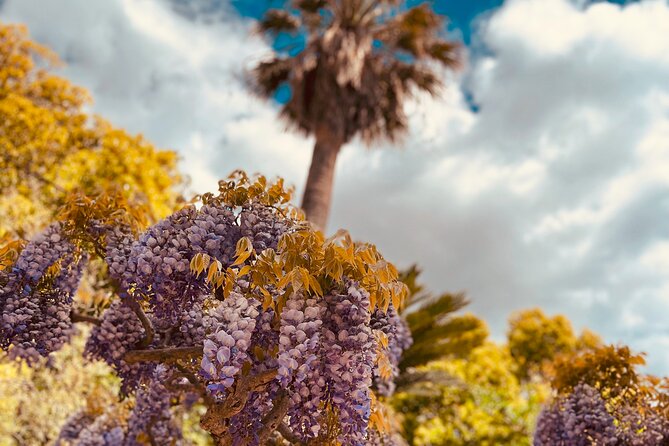 Ston and Pelješac Private Guided Tour From Dubrovnik - Trsteno Arboretum: A Breather With a Different Pace
