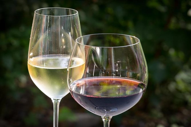 Ston and Peljesac with Wine Tasting Private Tour - Key highlights worth knowing before you go